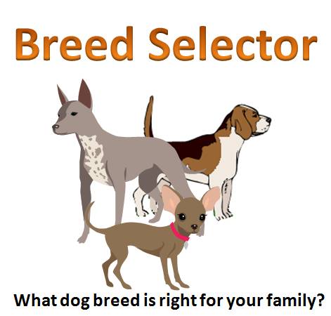 dogs 101 breed selector