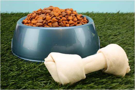 2007 Pet Food Recall Nightmare