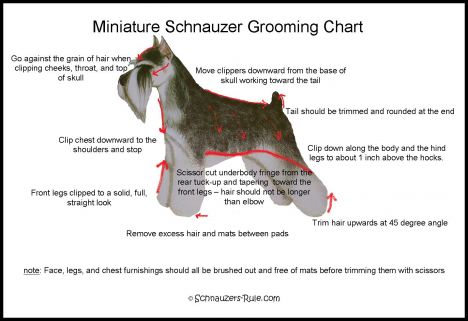 dog grooming hair length chart