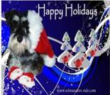 Christmas dog ecard, dog ecard, schnauzer card
