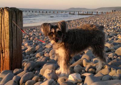 on the beach in wales... UK